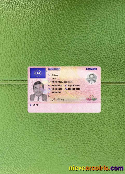 Denmark driving license  photolook